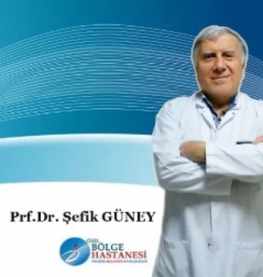Şefik Güney
