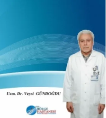 Veysi Gündoğdu