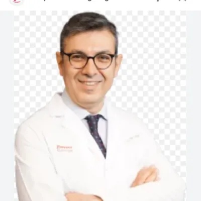 Elvan Alper Şengül
