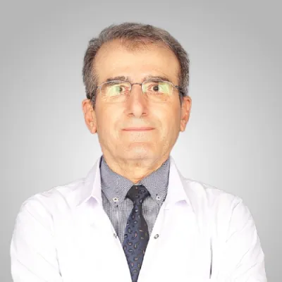 Hüseyin Cahit Yalçın
