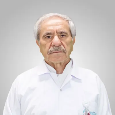 Bekir Sıtkı Bozan