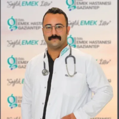Mehmet Sinan Mitil