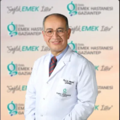 Mehmet Yavuz Çapan