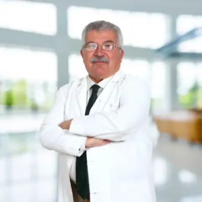 Melih Ergin