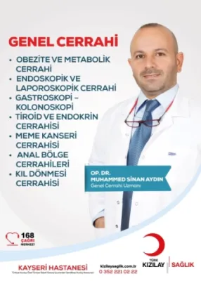 Muhammed Sinan Aydın