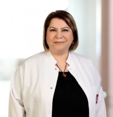 Sebiha Özdemir Özkan