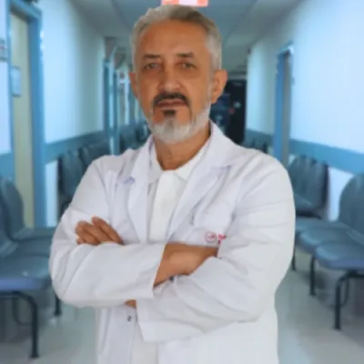 Doğan Boylu