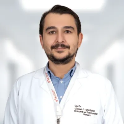 Göksel Gültekin Şahiner profil fotoğrafı