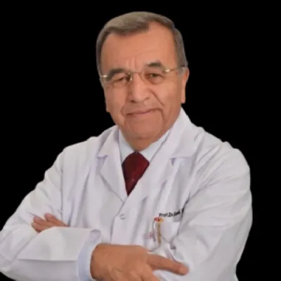 Sami Hizmetli