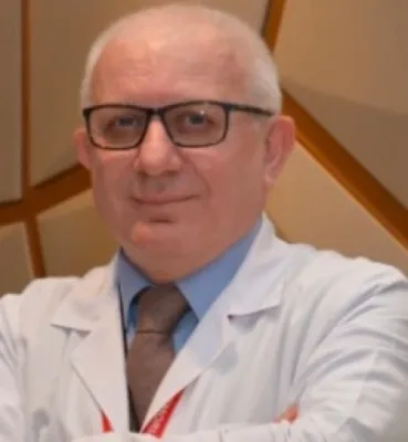 Aslan Çelebi