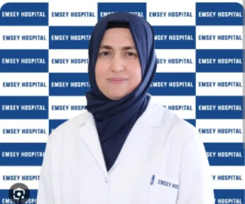 Gülcan Akdemir Kaya
