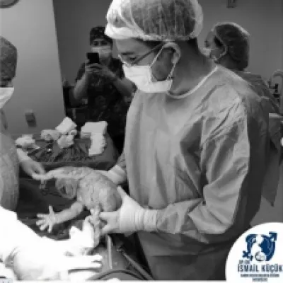 Op. Dr. İsmail Küçük profil fotoğrafı