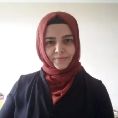 Süreyya Alan
