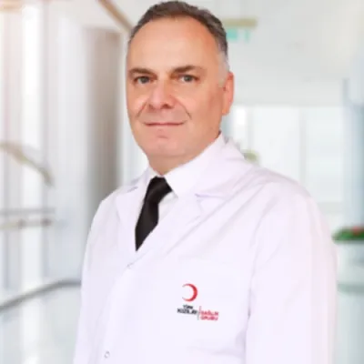 Gürkan Mola