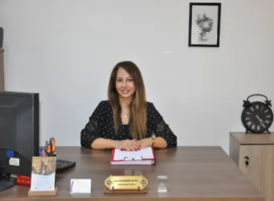 Diğer
