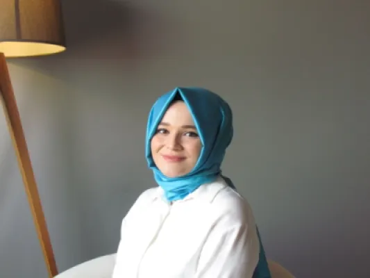 Diğer