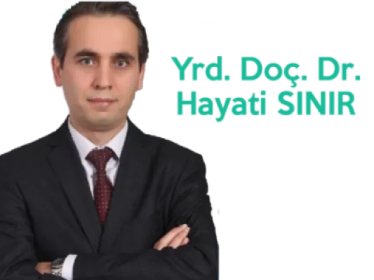 Hayati Sınır
