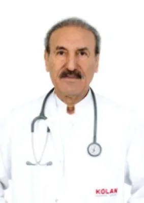 Şener Karakış