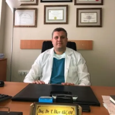 Tevfik İlker Akçam