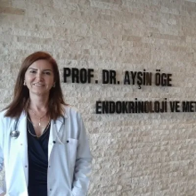 Ayşe Ayşin Öge