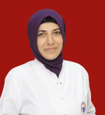 Melek Çiçek Aydın
