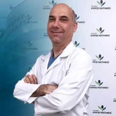 Teoman İsmail Gür