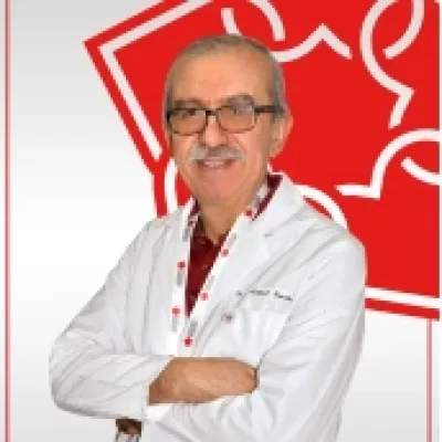 Mehmet Karataş