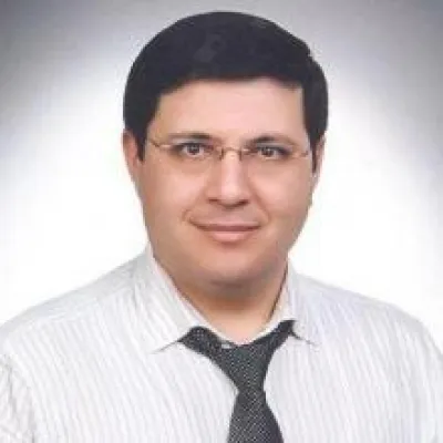 Metin Işık