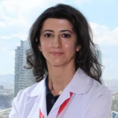 Ebru Akgül Ercan