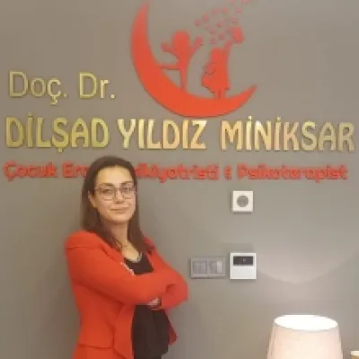 Dilşad Yıldız Miniksar