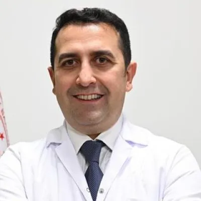 Ahmet Nihat Karakoyunlu