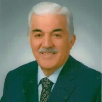 Metin Gülseren
