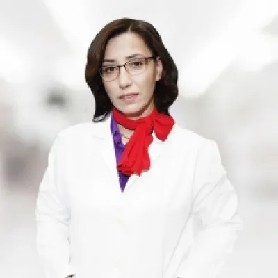 Handan Çipil